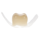 Protemp Crown Temporization Material, Adult, Refill, Upper Large Bicuspid, Universal Shade, 5/Pk (Exp. 04/26/2025)