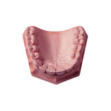Prima Rock Ivory 33lb/15kg