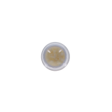 Disposable Mini Sponge Applicators