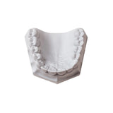 Bitestone White 33lb/15kg