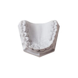 Orthodontic Stone White 33lb/15kg, 330066