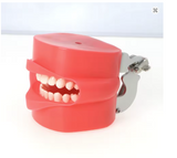 Oral Cavity Cover For 200 Series Typo