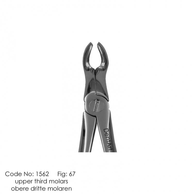 Tooth Extracting Forceps Upper Third Molars Fig: 67