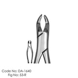 Dental Tooth Extracting Fig. No. 53R (Right)  Forceps - USA Type