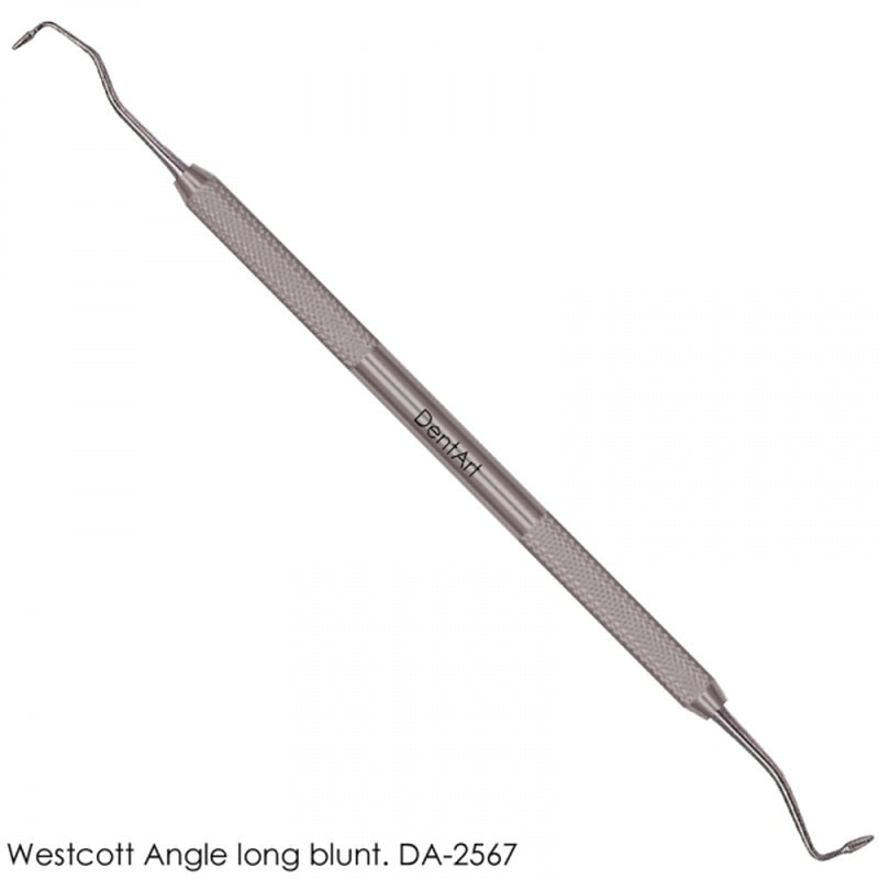 Dent Art Dental Amalgam Filling Westcott Composite Plastic Burnisher
