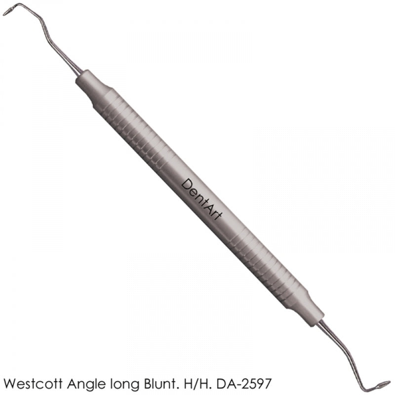 Dent Art Westcott Angle long Blunt Instrument