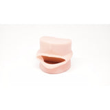 Oral Cavity Cover - Kilgore Periodontal and Pediatric Typodonts