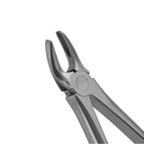 Dental Mead Forceps MD2 Molar Tooth Extracting Forceps - Serrated